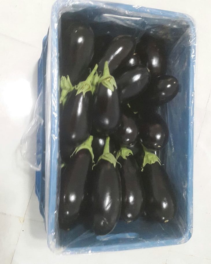 दीपक बैंगन का निर्यात