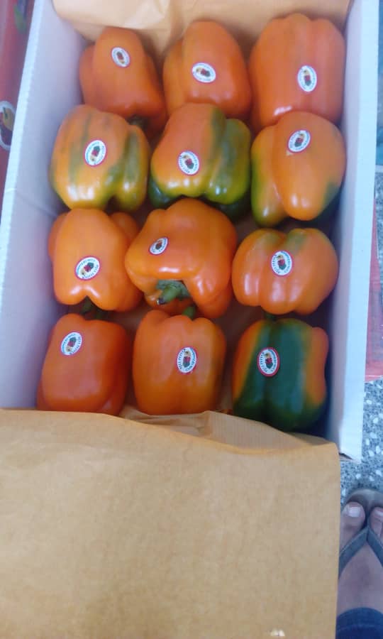 IMG-20190707-WA0007