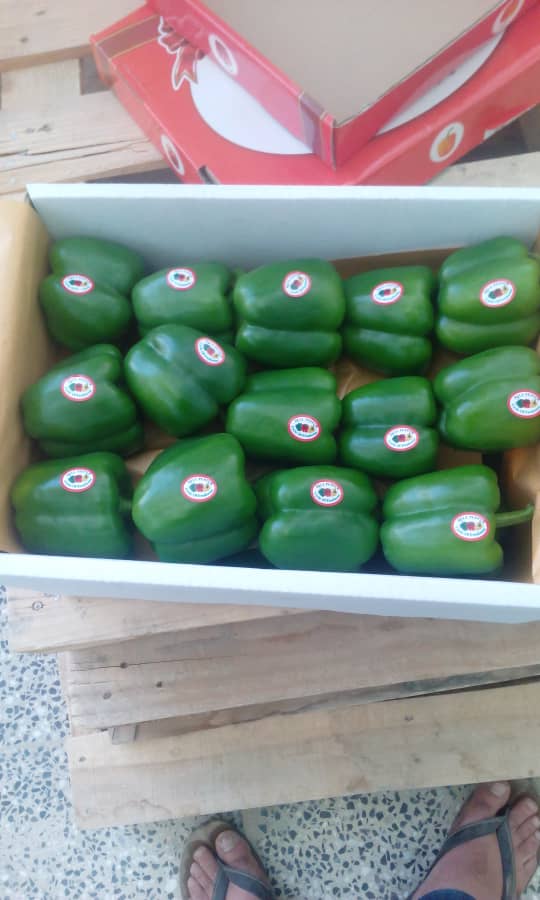 IMG-20190707-WA0008