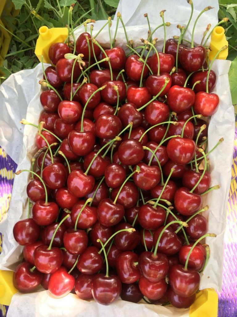 IMG-20190708-WA0023