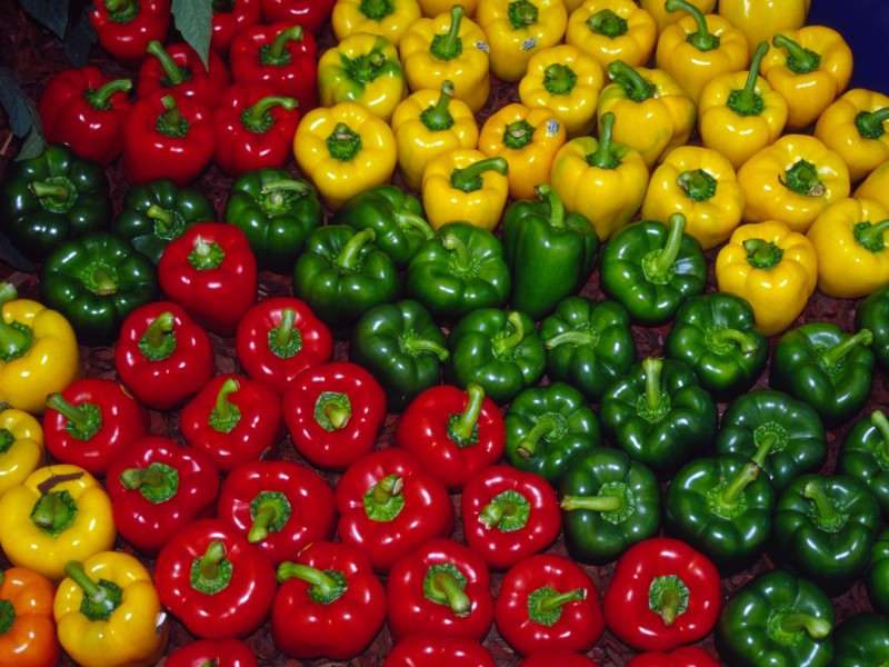 capsicum-800x600